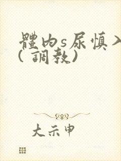 体内s尿慎入h( 调教)