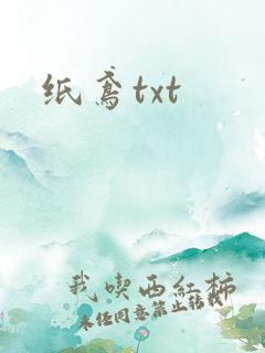 纸鸢txt