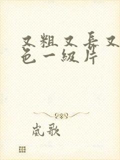 又粗又长又大黄色一级片