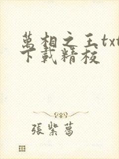 万相之王txt下载精校
