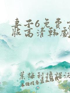 妻子6免费完整版高清韩剧在线观看全集