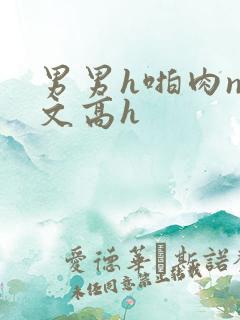 男男h啪肉np文高h