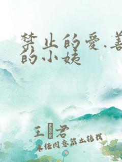 禁止的爱.善良的小姨