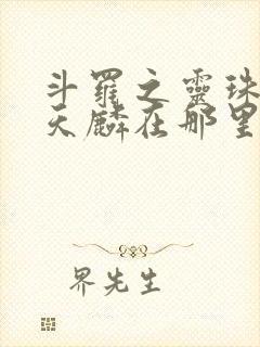 斗罗之灵珠神剑天麟在那里更新