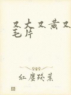 又大又黄又粗的毛片