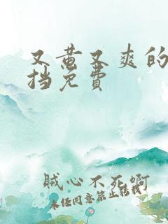 又黄又爽的无遮挡免费