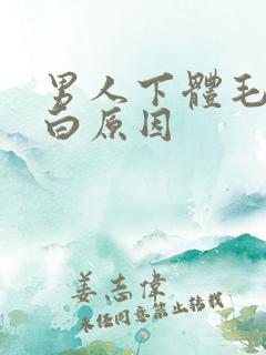 男人下体毛发变白原因