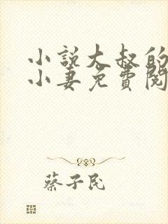 小说大叔的私宠小妻免费阅读