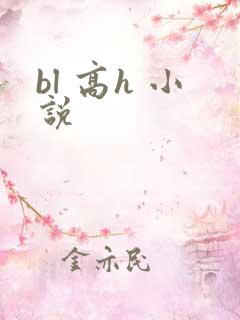 bl 高h 小说