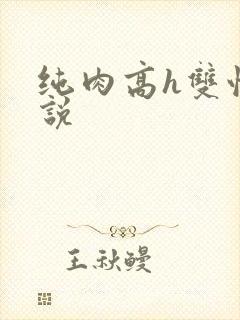 纯肉高h双性小说