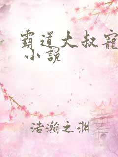 霸道大叔宠甜妻 小说