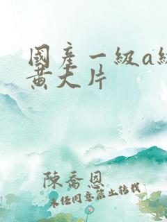 国产一级a级特黄大片