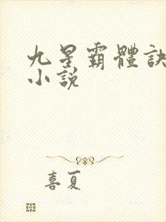 九星霸体诀正版小说