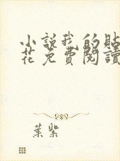 小说我的贴身校花免费阅读免费