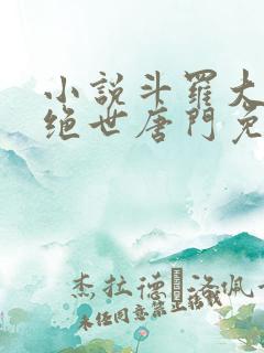 小说斗罗大陆2绝世唐门免费版