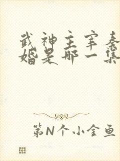 武神主宰秦尘抢婚是哪一集