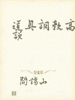 道具调教高h小说