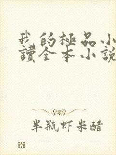 我的极品小姨阅读全本小说