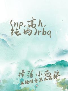 (np,高h,纯肉)rbq