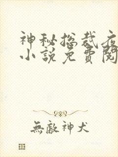 神秘总裁夜夜宠小说免费阅读