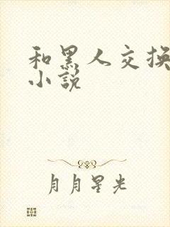 和黑人交换女友小说