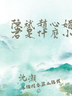 陈斌赵心媚高婉君是什么小说