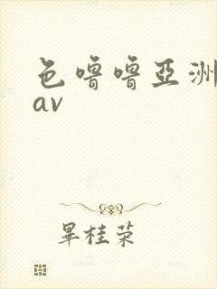 色噜噜亚洲综合av