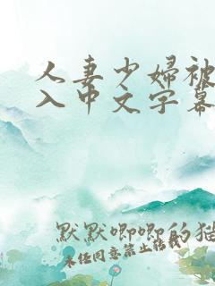 人妻少妇被猛进入中文字幕