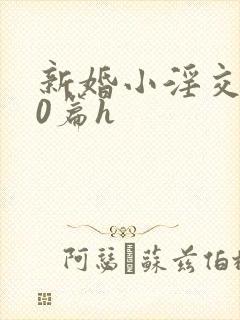 新婚小淫交500篇h