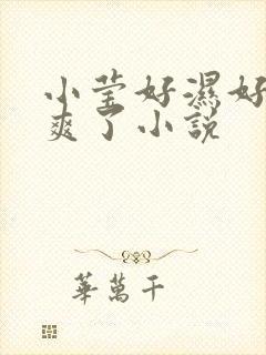 小莹好湿好紧太爽了小说