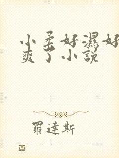 小柔好湿好紧太爽了小说