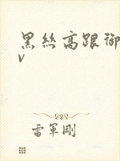 黑丝高跟御姐av