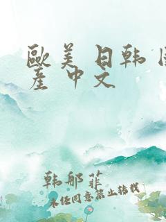 欧美 日韩 国产 中文