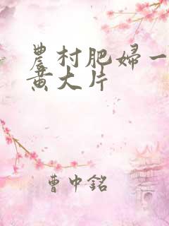 农村肥妇一级特黄大片