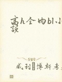 高h全肉bl小说