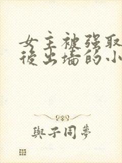 女主被强取豪夺后出墙的小说