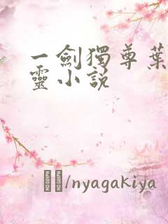 一剑独尊叶玄叶灵小说