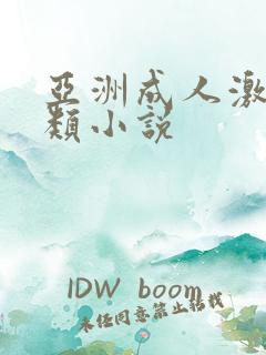 亚洲成人激情另类小说