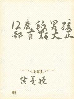 12岁的男孩胸部有点大正常吗