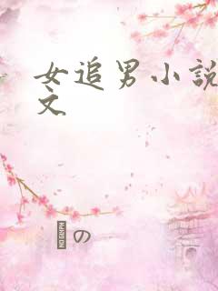 女追男小说甜宠文