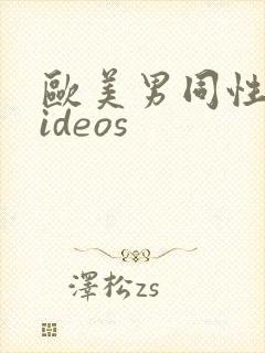 欧美男同性恋videos