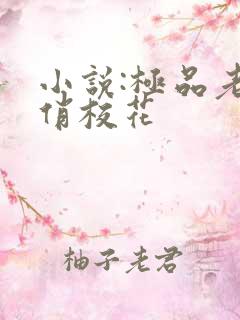 小说:极品老师俏校花