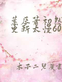 叶辰萧初然刚刚更新太慢600集