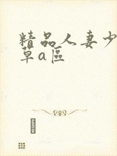 精品人妻少妇嫩草a区