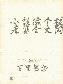 小说捡个校花做老婆全文阅读