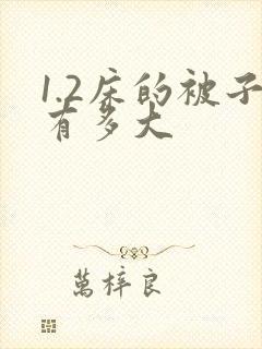 1.2床的被子有多大