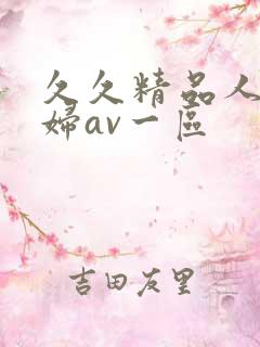 久久精品人妻少妇av一区