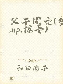 父子同穴(双性,np.总受)