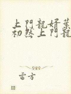 上门龙婿叶辰萧初然上门龙婿