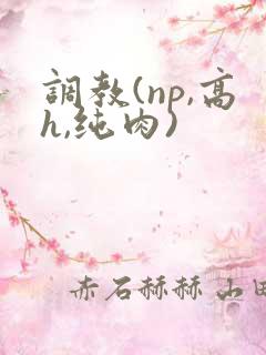 调教(np,高h,纯肉)